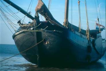 droogvallen op het wad bij laag water